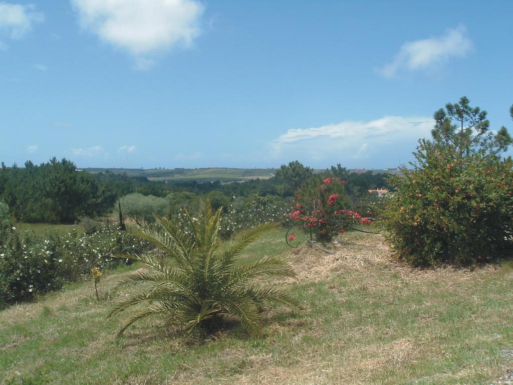 Monte Da Xara Villa Aljezur Dış mekan fotoğraf