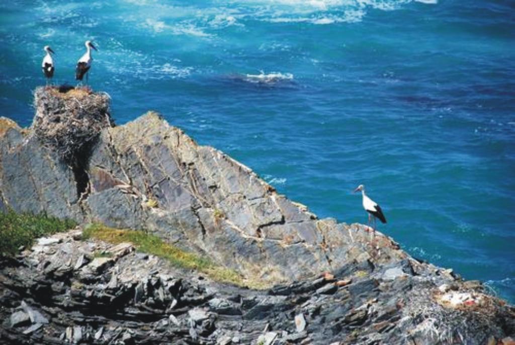 Monte Da Xara Villa Aljezur Dış mekan fotoğraf